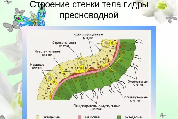 Обменник биткоин в блэкспрут