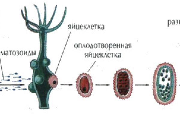 Мега торговая площадка найти тор ссылку