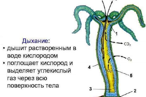 Mega наркотики