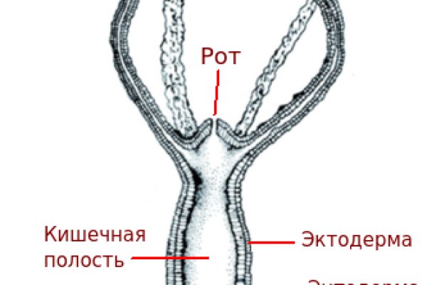 Кракен дарк нет